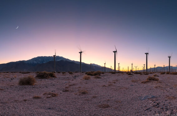 Wind Farm, Palm Springs